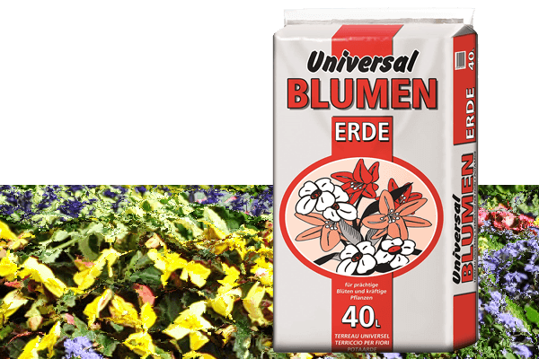 Universal und Qualitätseinstieg